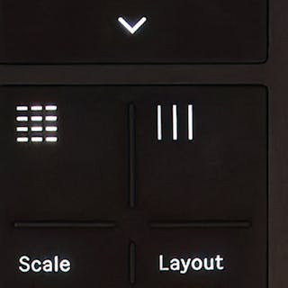 Detail photo of Push’s Session Pad Mode button.